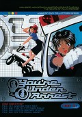 You're Under Arrest TV 1 DVD